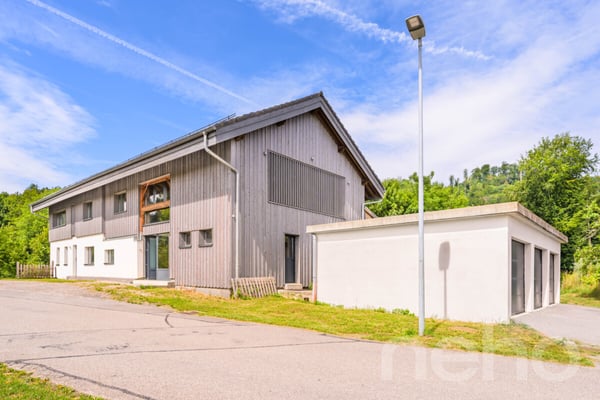 ENTRE NATURE ET CARACTÈRE : UNE FERME RÉINVENTÉE POUR UNE VIE LIBRE 12