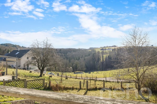 Maison de caractère avec logement indépendant à Chavannes-le-Chêne 1