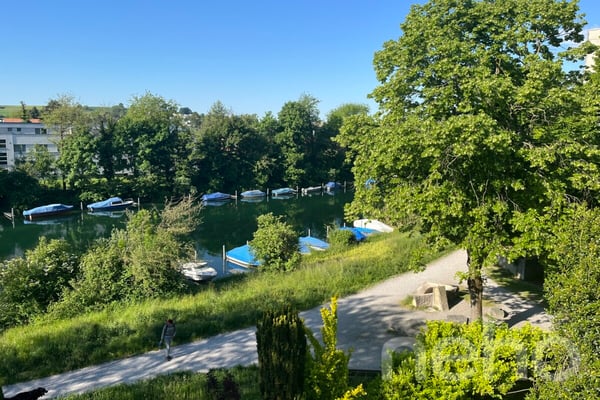 Moderne und helle Attikawohnung direkt an der Zihl 1