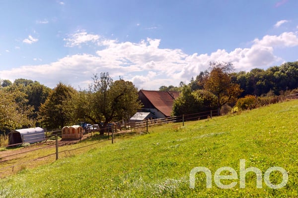 Ferme rénovée avec écurie de propriétaire 1