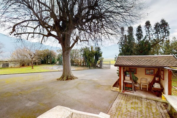 Immeuble locatif et 3 surfaces activités/stockage 3