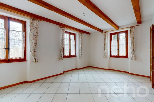 Immeuble locatif et 3 surfaces activités/stockage 5