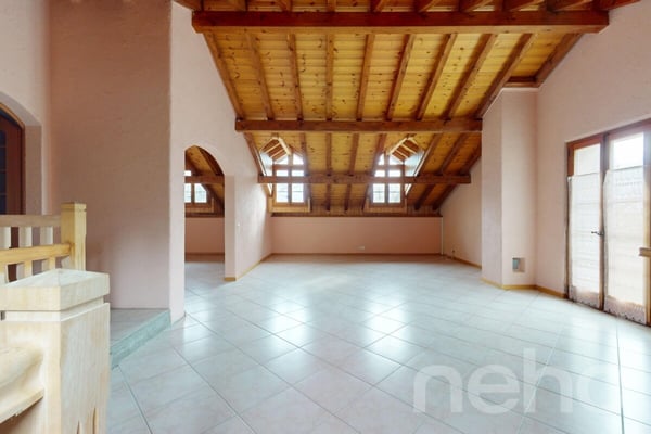 Immeuble locatif et 3 surfaces activités/stockage 11