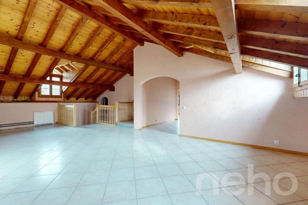 Immeuble locatif et 3 surfaces activités/stockage 9