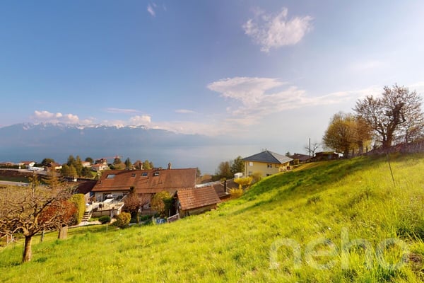 Terrain à bâtir avec vue panoramique sur le lac et les Alpes 5