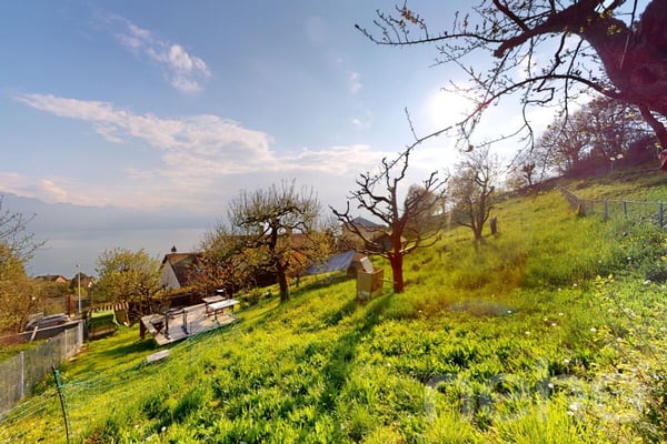 Terrain à bâtir avec vue panoramique sur le lac et les Alpes 1