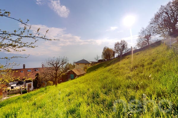 Terrain à bâtir avec vue panoramique sur le lac et les Alpes 4
