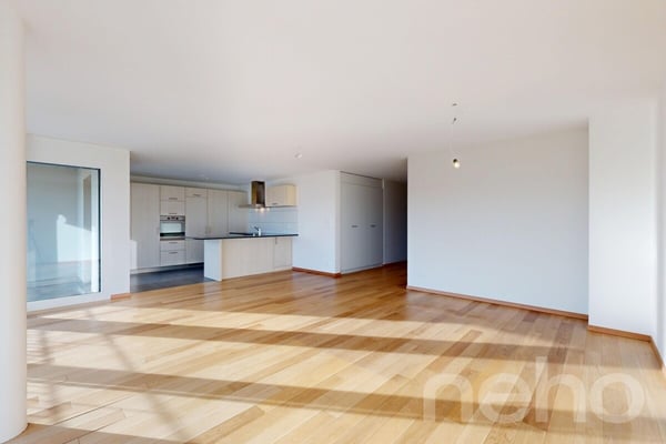 Bel appartement lumineux avec vue sur le lac ! 5