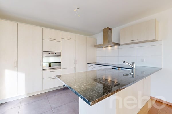 Bel appartement lumineux avec vue sur le lac ! 3