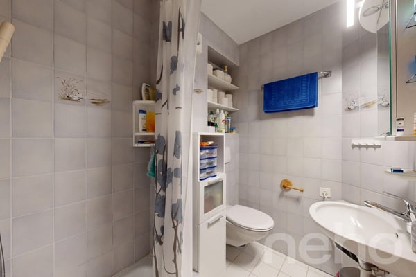 Maison spacieuse et accueillante dans un quartier calme et recherché 10