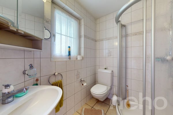 Idyllisches 1-Zimmer-Haus mit Gartenparadies an der Dünnern 8