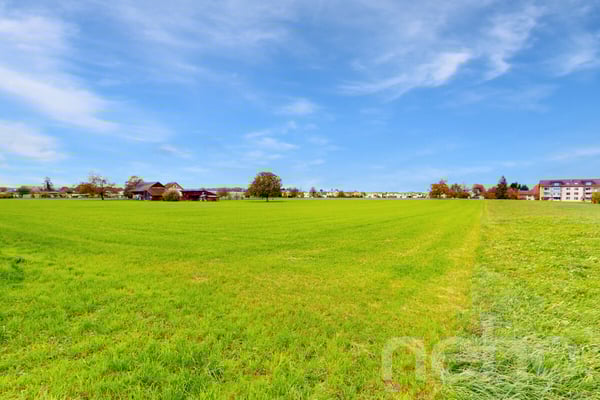 Attraktive Baulandparzelle mit zusätzlicher Landwirtschaftsfläche 7