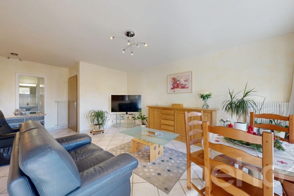 Superbe appartement 1.5 pièces, lumineux et au calme 2