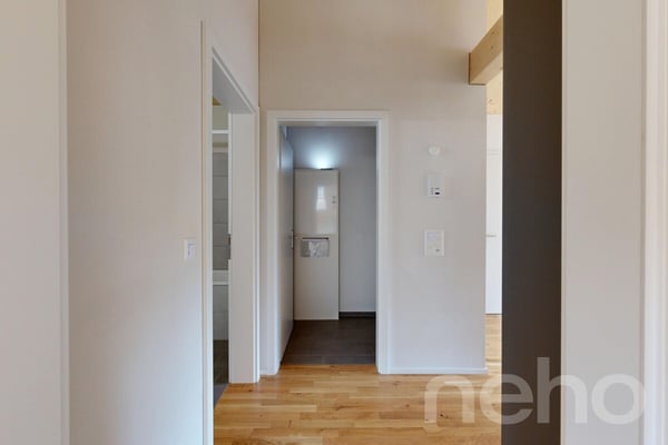 Attikawohnung mit Aussicht in Spiringen 11