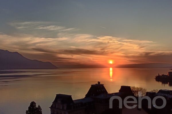 Superbe 1.5 pièces entièrement rénové avec vue lac, parking et cave 2