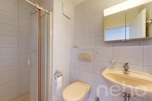 Grosszügige 1.5-Zi.-Wohnung mit Loggia an zentraler, ruhiger Lage 9