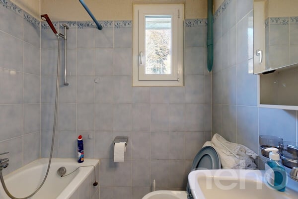 Historisches 1-Zimmerhaus mit Ausbaupotenzial und grossem Garten 8