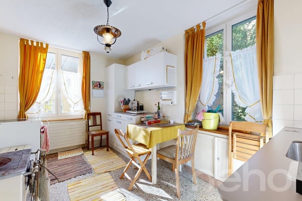 Historisches 1-Zimmerhaus mit Ausbaupotenzial und grossem Garten 7