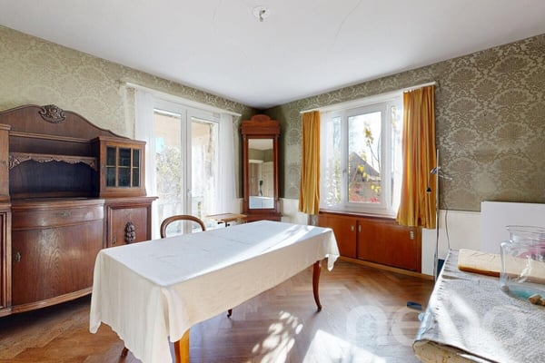 Historisches 1-Zimmerhaus mit Ausbaupotenzial und grossem Garten 3