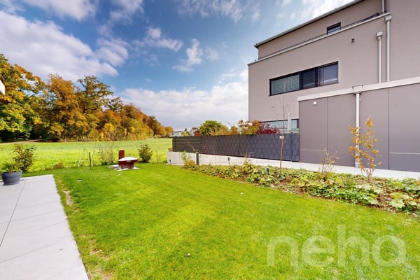 Modernes 1.5-Zimmer-Einfamilienhaus in 5223 Riniken 12