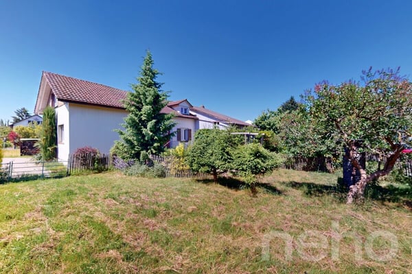 1.5-Zimmer Einfamilienhaus mit sonnigem Garten und viel Potential 5