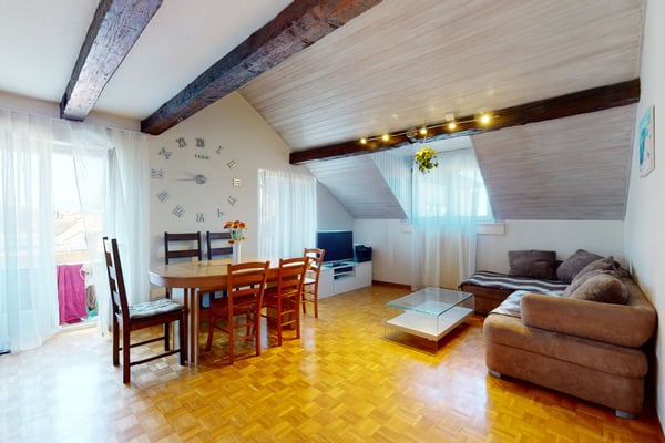 OPPORTUNITÉ D'INVESTISSEURS - Très bel immeuble de rendement à Blonay 4