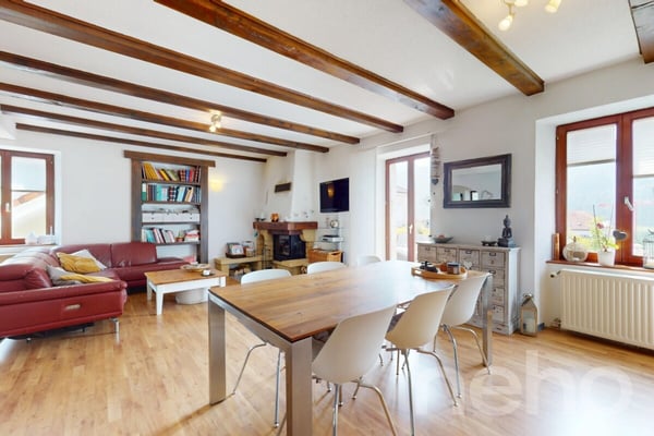 Grande Maison de deux appartements + Bureaux et garages indépendants 3