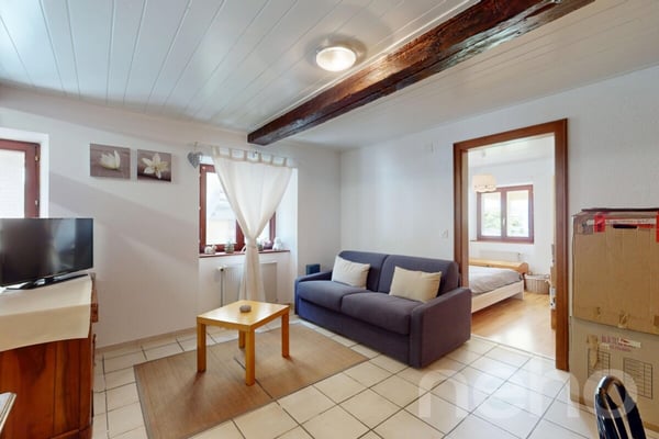 Grande Maison de deux appartements + Bureaux et garages indépendants 10