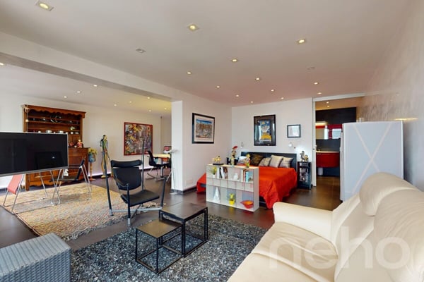 Loft rénové plein centre Champéry, vue panoramique