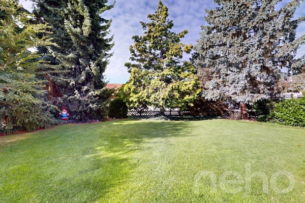 Charmantes 1.5-Zimmer-Haus mit viel Platz und idyllischem Garten 1