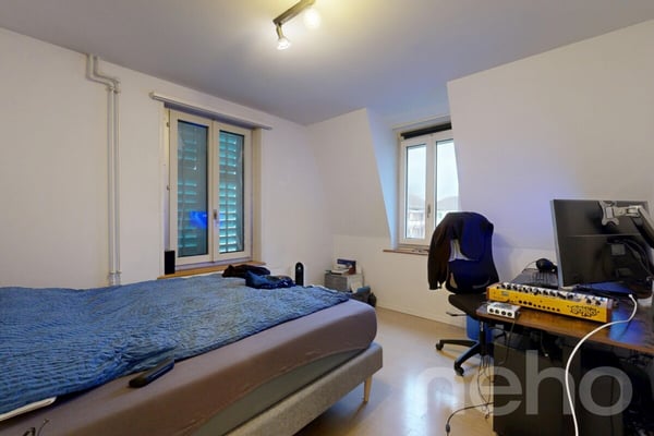 Attraktives Mehrfamilienhaus mit Entwicklungspotenzial in Dietikon 10