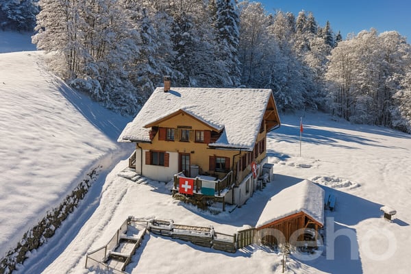 Magnifique chalet rénové - grand terrain et bord de rivière à Etivaz 1