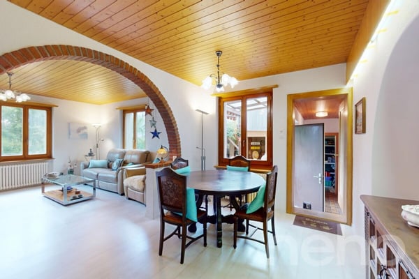 Haus mit Charme, grosser Terrasse, Garten und vielseitigem Anbau 3