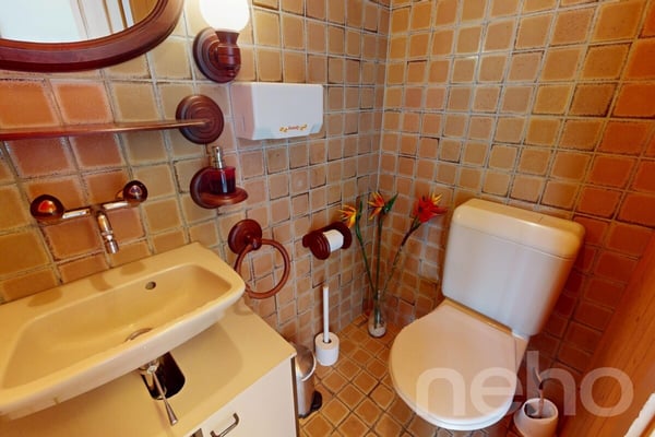 Haus mit Charme, grosser Terrasse, Garten und vielseitigem Anbau 11