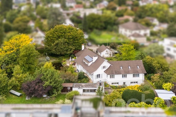 2-Zimmer-Haus mit Gartenoase und viel Raum 3