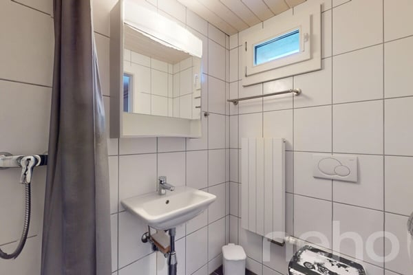 Authentique ferme du 19e siècle aux grands volumes et potentiel! 10