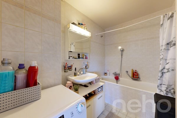 Charmant 1.5 pièces lumineux avec jardin et vue dégagée 10