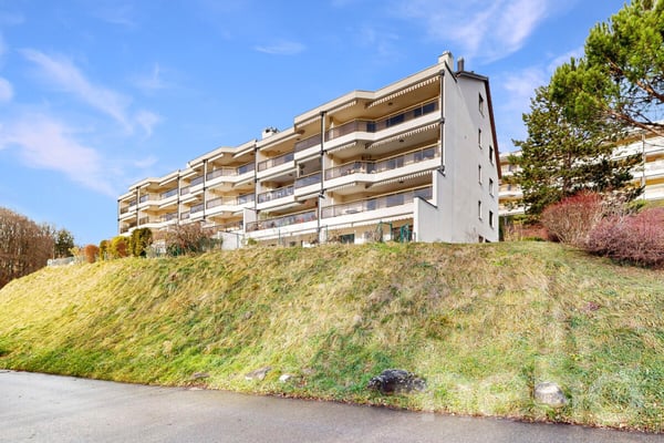 Grand duplex de 2.5 pièces au calme absolu à Chexbres 1