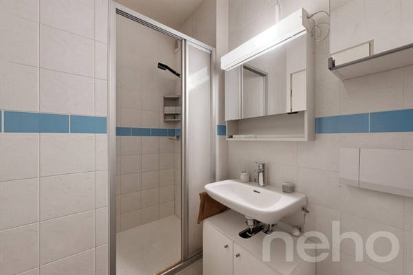 Bel appartement de 1.5 pièces avec jardin 7