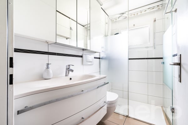 Moderne Doppelhaushälfte mit grossem Umschwung 8