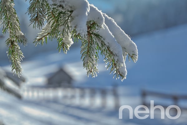 Opportunité pour un projet en résidence secondaire 2