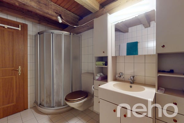 Appartement + bureau indépendant à Ursins ! 4