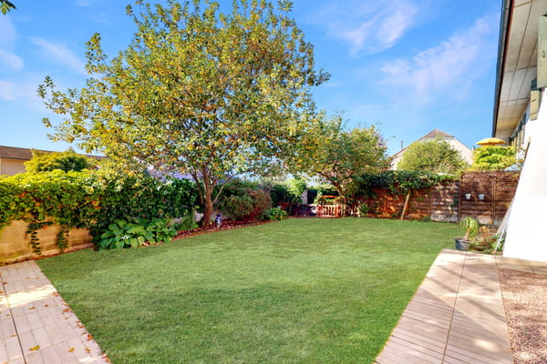 Merveilleux appartement  avec jardin ! 2