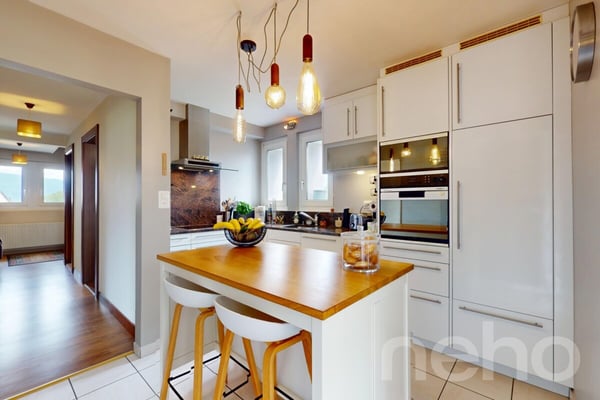 Magnifique Villa individuelle à Estavayer-le-Lac avec grand terrain 7