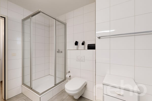 1.5-Zimmer-Attikawohnung in Schlieren 8