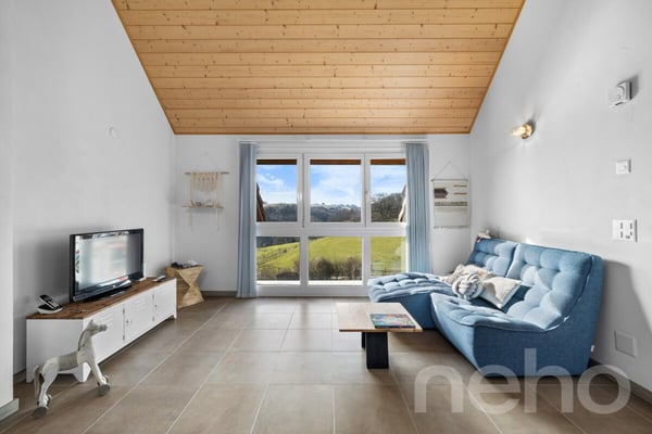 Maison de caractère avec logement indépendant à Chavannes-le-Chêne 1