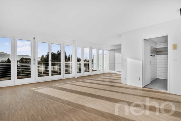 Helle 2.5-Zimmer?Attikawohnung mit Pilatusblick im Büttenenquartier 8