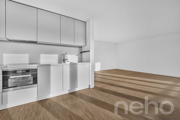 Helle 2.5-Zimmer?Attikawohnung mit Pilatusblick im Büttenenquartier 5