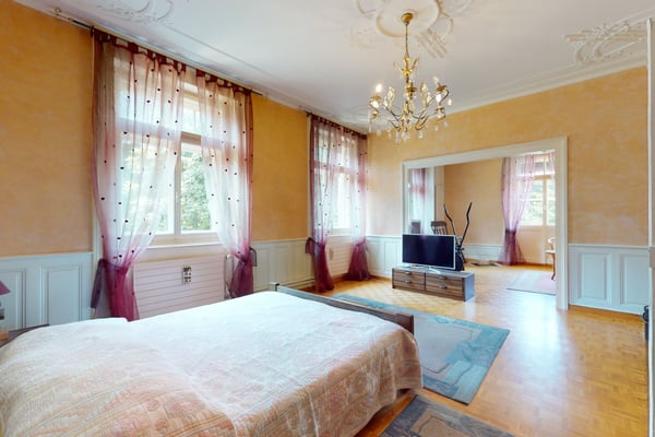 Immeuble mixte au fort potentiel ? pour un projet immobilier ambitieux 5