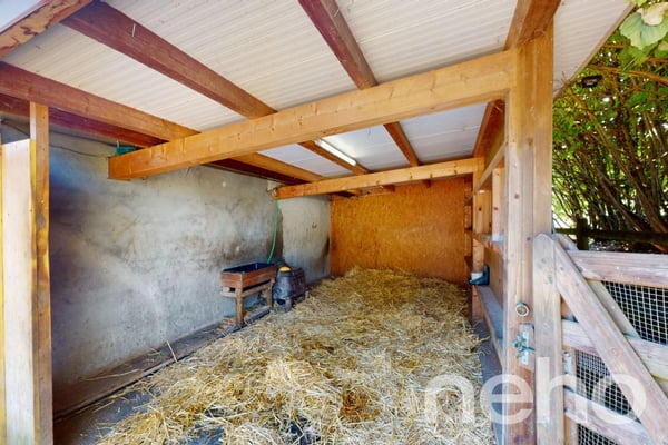 Ferme rénovée avec écurie de propriétaire 8